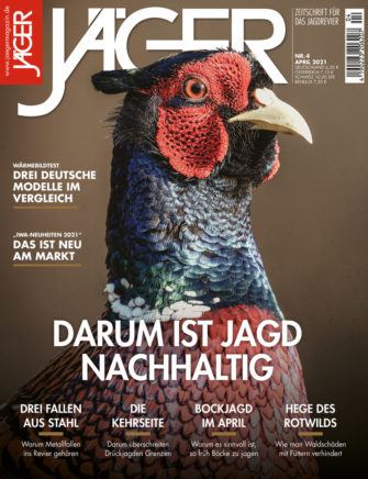 Darum ist Jagd nachhaltig