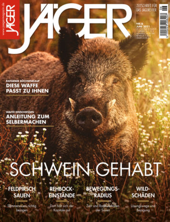 Schwein gehabt