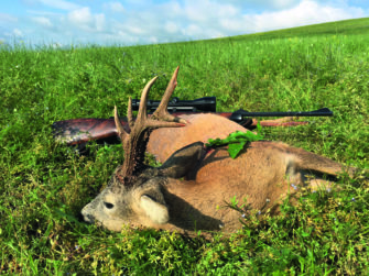 Bockjagd in Rumänien – Unterschätztes Juwel