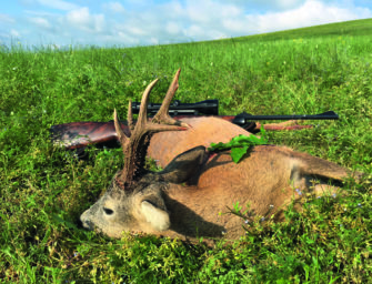 Bockjagd in Rumänien – Unterschätztes Juwel