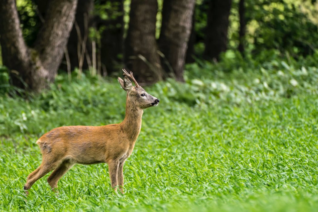 julian-hanslmaier-UZlercJXBY4-unsplash