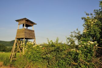 Klares Statement gegen Tierrechtler