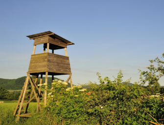Klares Statement gegen Tierrechtler