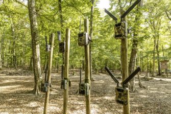 Wildkamera-Test – Best of SAUEN