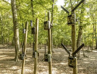 Wildkamera-Test – Best of SAUEN