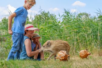 Wald und Wild kennenlernen – Kindern die Natur erklären