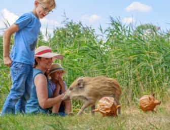 Wald und Wild kennenlernen – Kindern die Natur erklären