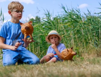 Natur entdecken: Stadtkinder für den Wald begeistern