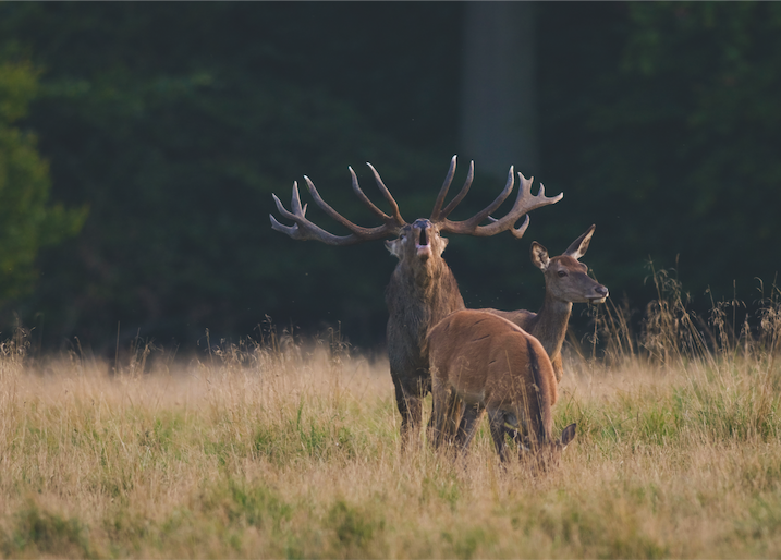 1. Bild Jürgen Schiers