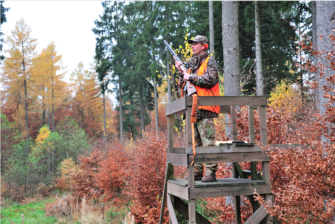 Abstauberjagd bei der Drückjagd – Wenn schon, denn schon…