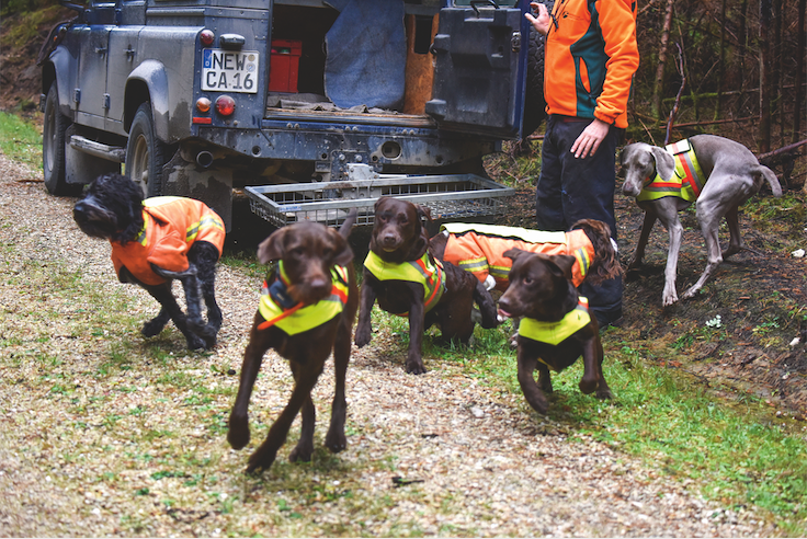 Aufmacher_ReinerBernhardt