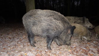 Büchsenlicht: Achtung Zeitumstellung!