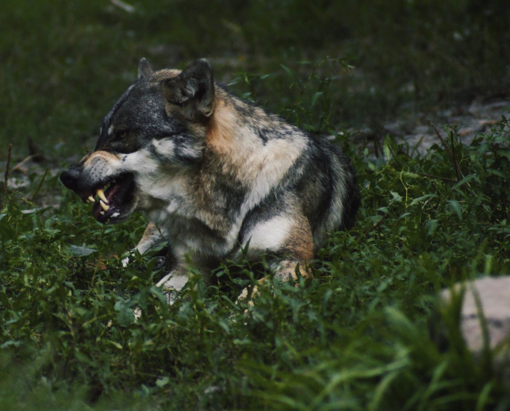 jessy-hoffmann-QjfBnF2i6sk-unsplash-3