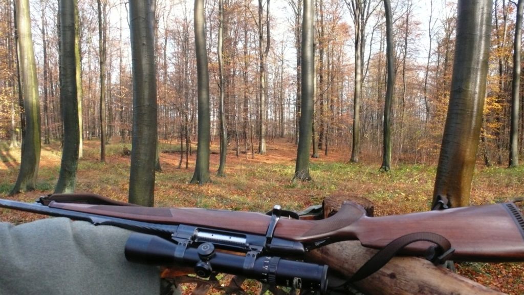 Gewehr liegt auf dem Schoss eines Jägers, der auf dem Waldboden sitzt und in den Wald schaut.