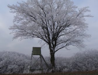 Kaliber für die Drückjagd: Das universelle Maß fürs Ausland