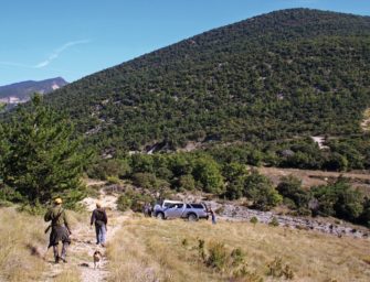 Jagdreise: Drückjagd in Frankreich – Von Wildschwein und Wein