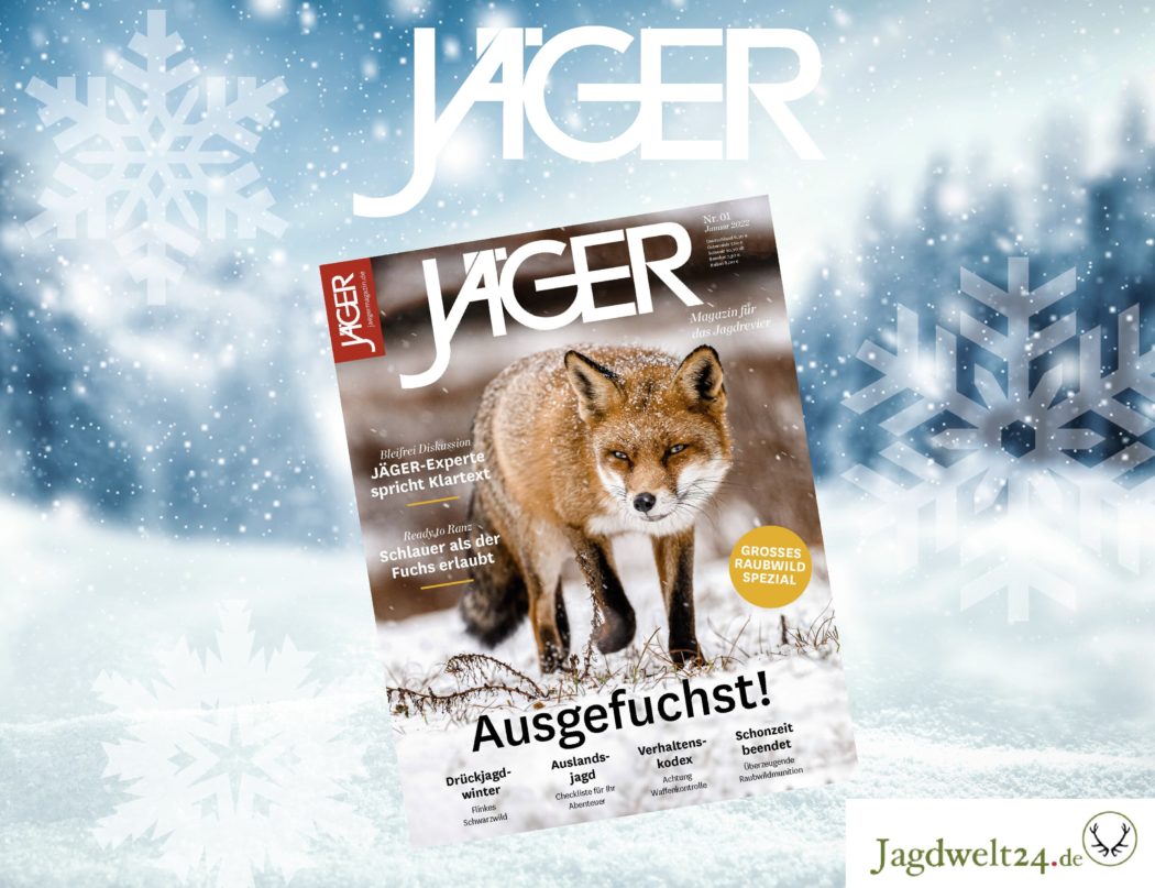 Jäger Adventskalender Fenster13-min