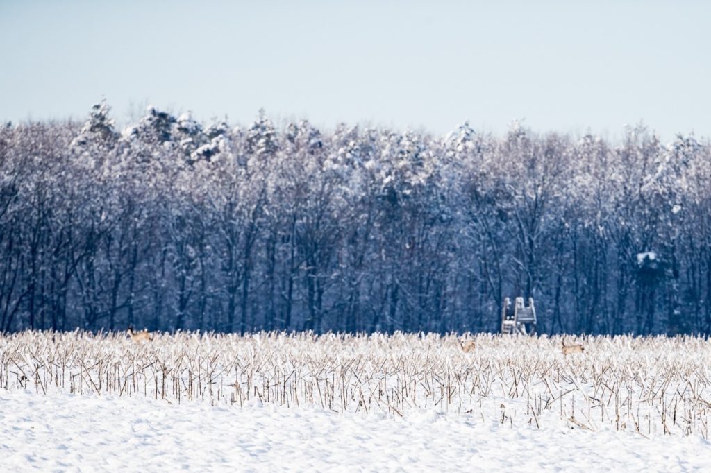 Verschneites Feld, Hochsitz und im Hintergrund Wald.