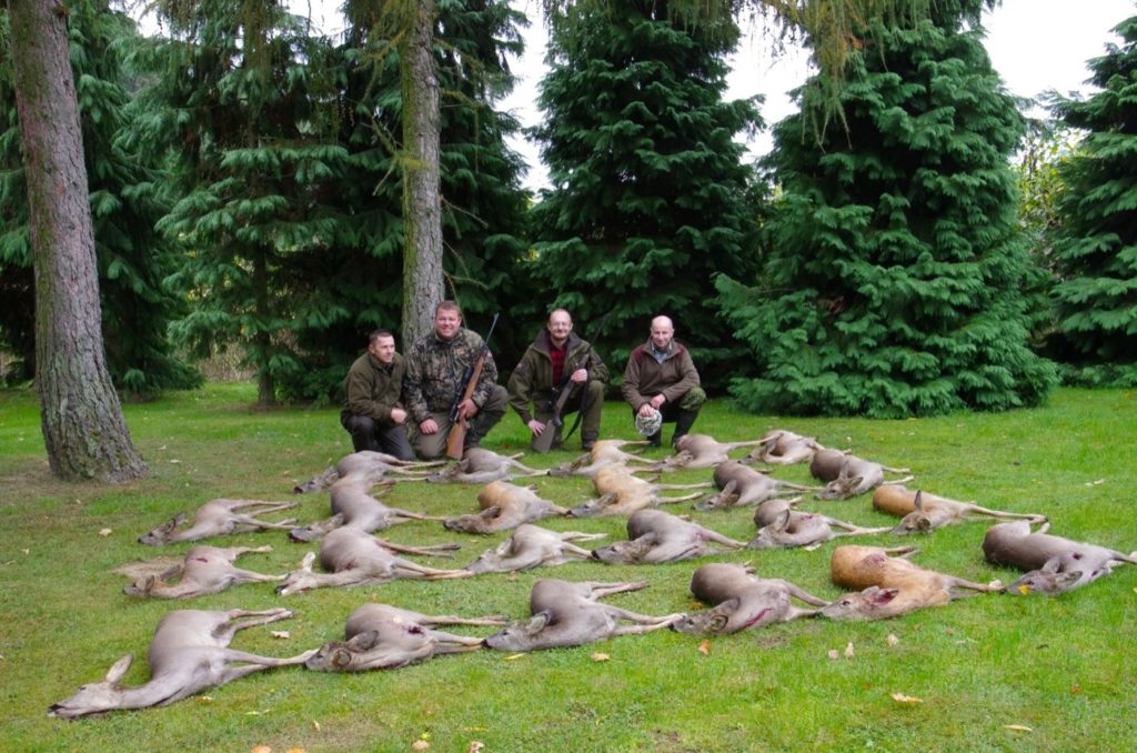 Vier Jäger knien hinter 21 ausgebreiteten, geschossenen Rehen.