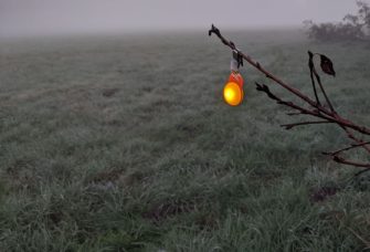 Clevere Praxishelfer: LED Leitlichter