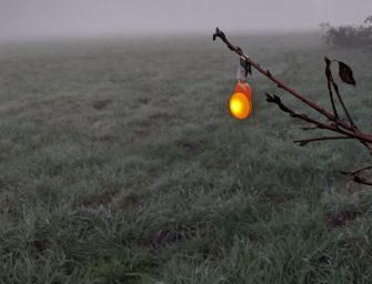 Clevere Praxishelfer: LED Leitlichter