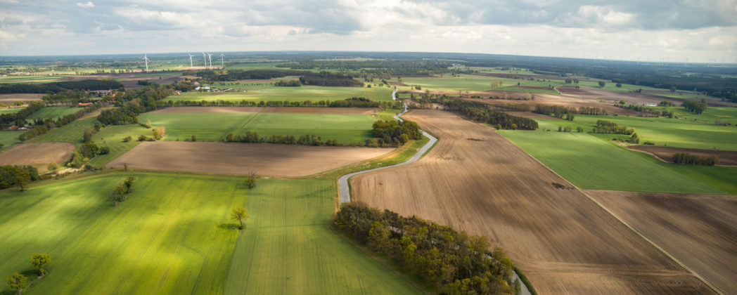 Fallenjagd: Der richtige Standort entscheidet