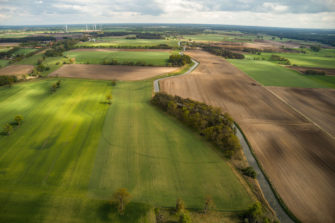 Fallenjagd: Der richtige Standort entscheidet