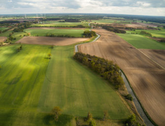Fallenjagd: Der richtige Standort entscheidet
