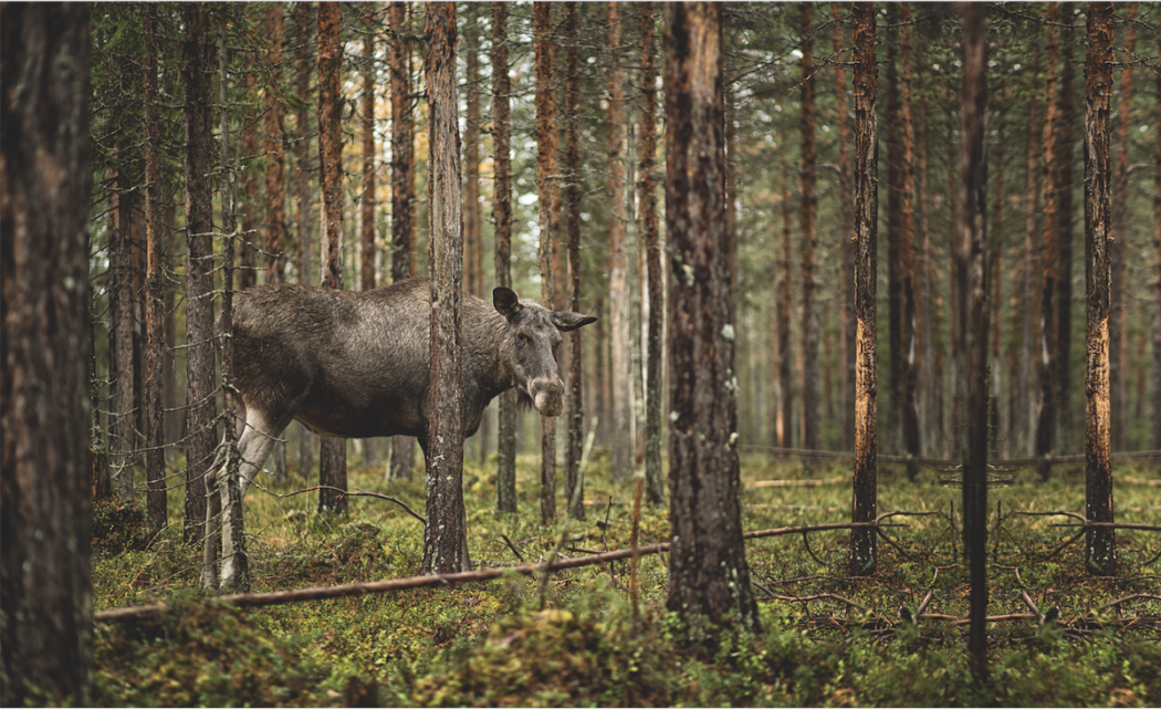 Bildschirmfoto 2022-01-04 um 13.14.14