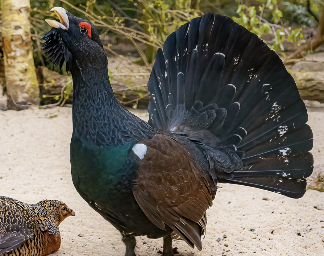 Bildschirmfoto 2022-01-22 um 10.35.12