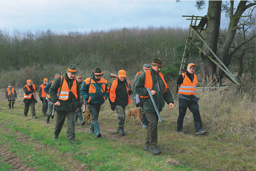 Größere Gruppe von Jäger in Warnwesten laufen über Feldweg