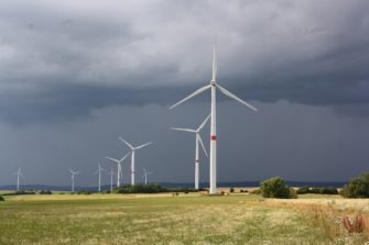 Klimastrategie der Grünen – Eine Bedrohung für Wildtiere?