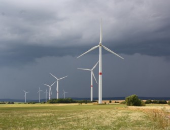 Klimastrategie der Grünen – Eine Bedrohung für Wildtiere?