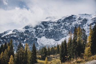 Tirol erlaubt weiterhin den Einsatz von Bleimunition