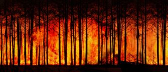 Klimawandel: Waldbrände nehmen zu
