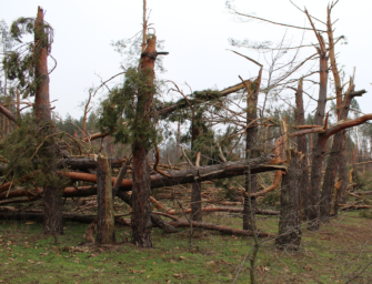Sturm dauert an – Bilanz des Schreckens