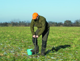 Bodenproben Wildacker – Erst probieren, dann verzieren!