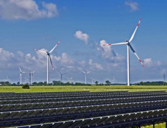 Schleswig-Holstein – Rücksicht auf Wildtiere bei der Energiewende