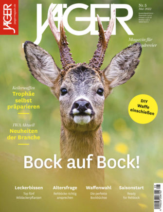 Bock auf Bock!