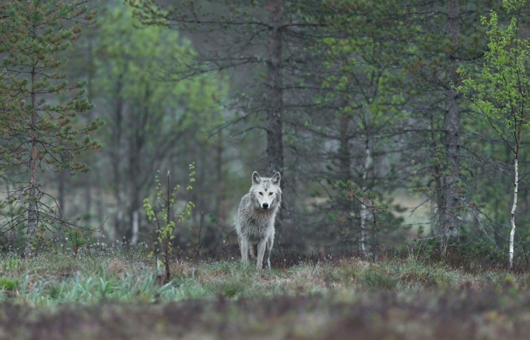 hans-veth-8y–BAFlC9c-unsplash