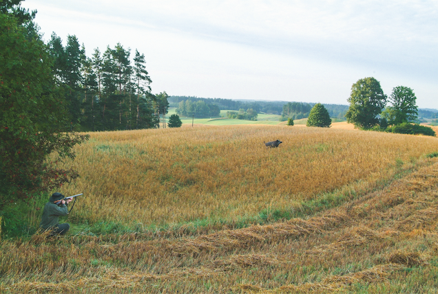Aufmacher Rafal Lapinski
