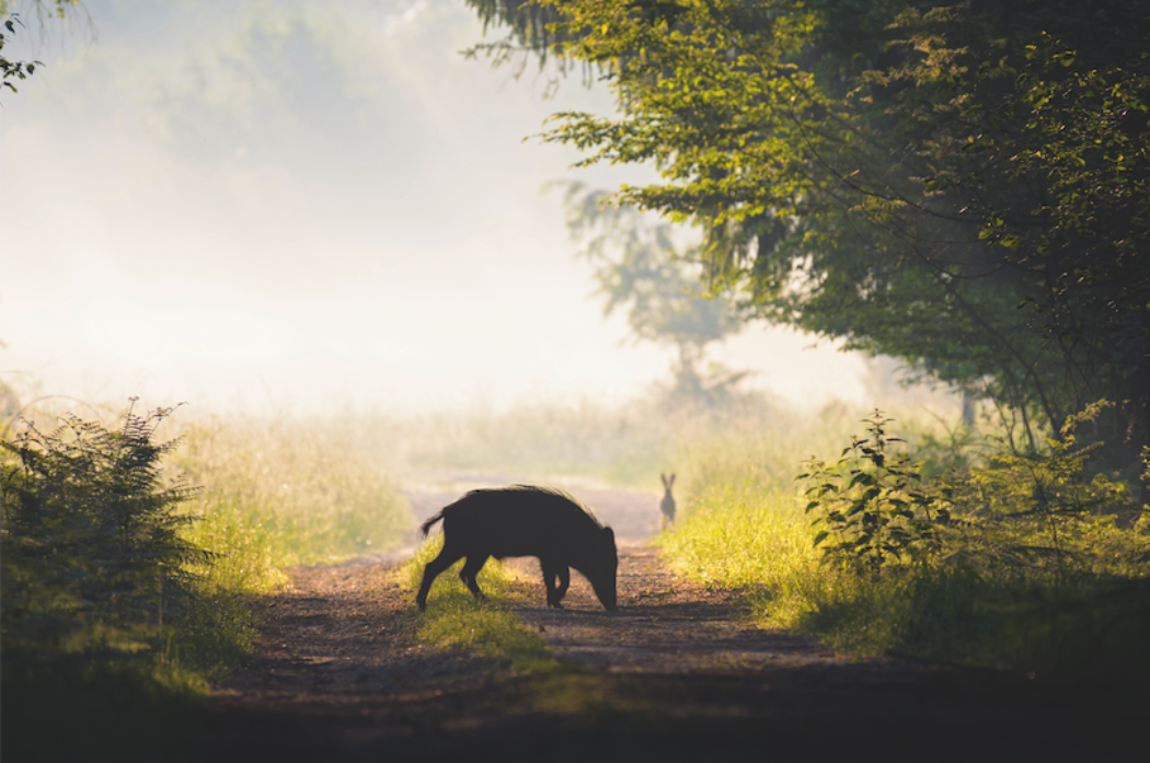 Aufmacher_Michael Breuer