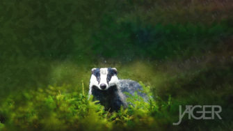 Wallpaper – Dachs JÄGER 6/2022