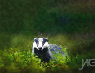 Wallpaper – Dachs JÄGER 6/2022