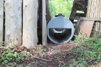 Fallen: Zusammen für den Artenschutz