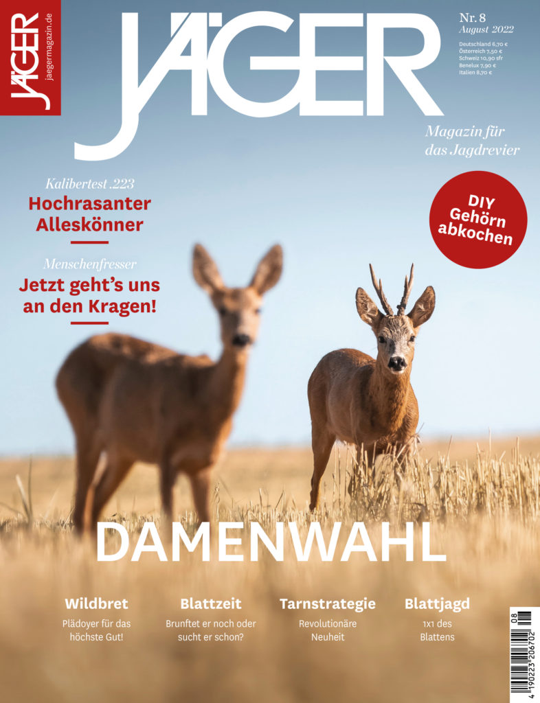 Bockjagd - Das ist die beste Uhrzeit für die Bockerlegung