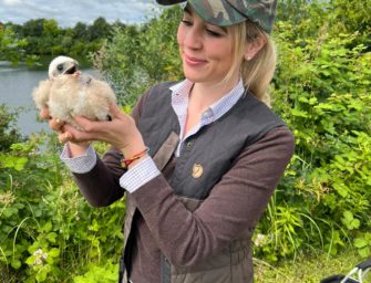 Rohrweihen in Schleswig-Holstein gerettet – Jagd ist Naturschutz!