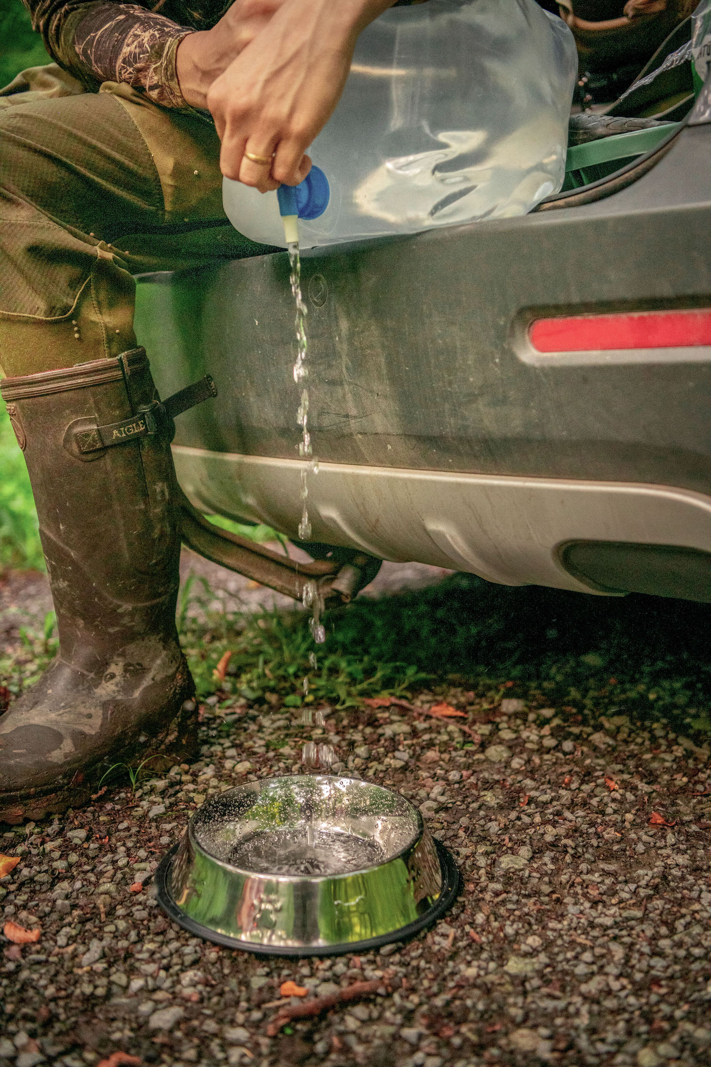 Wasserspender für Hunde