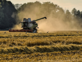 Tödlicher Unfall bei Erntejagd