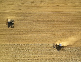 Landwirte warnen vor massiven Ernteausfällen